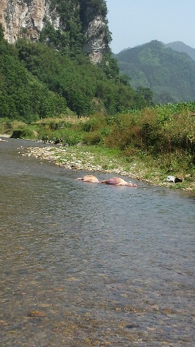 20140528_151015.jpg