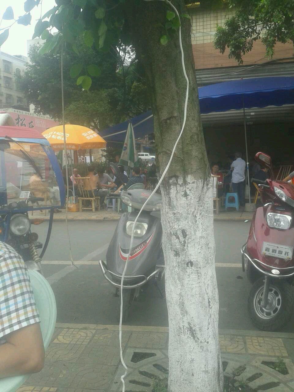 wechat.jpg