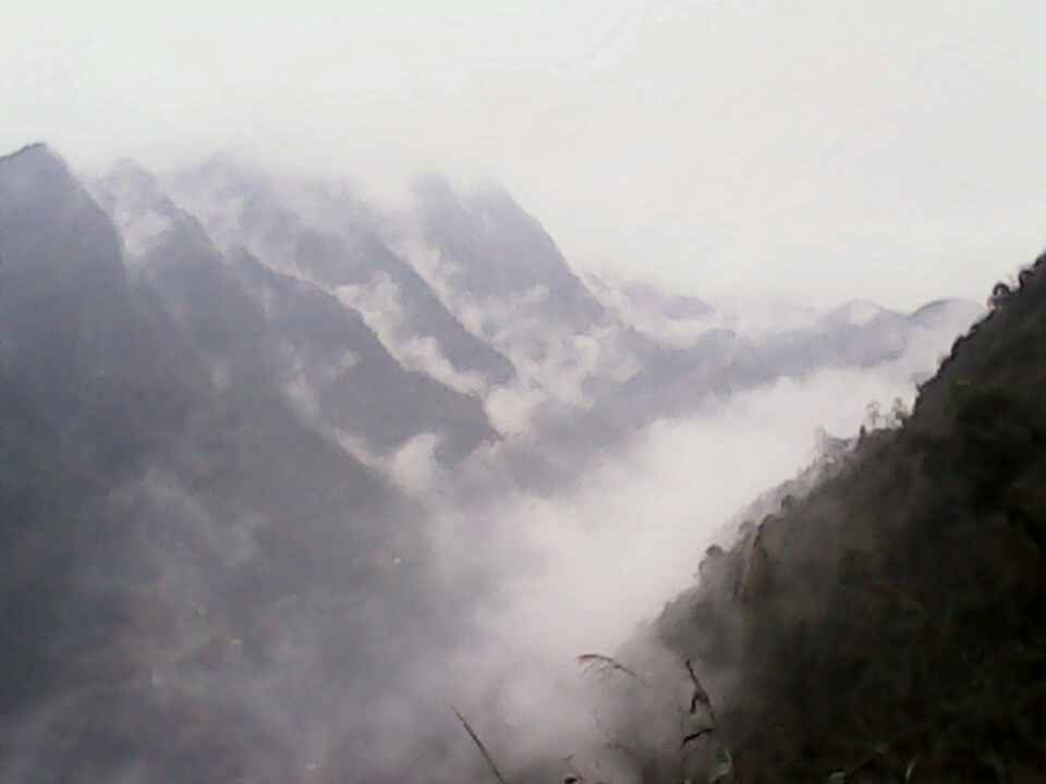 wechat.jpg