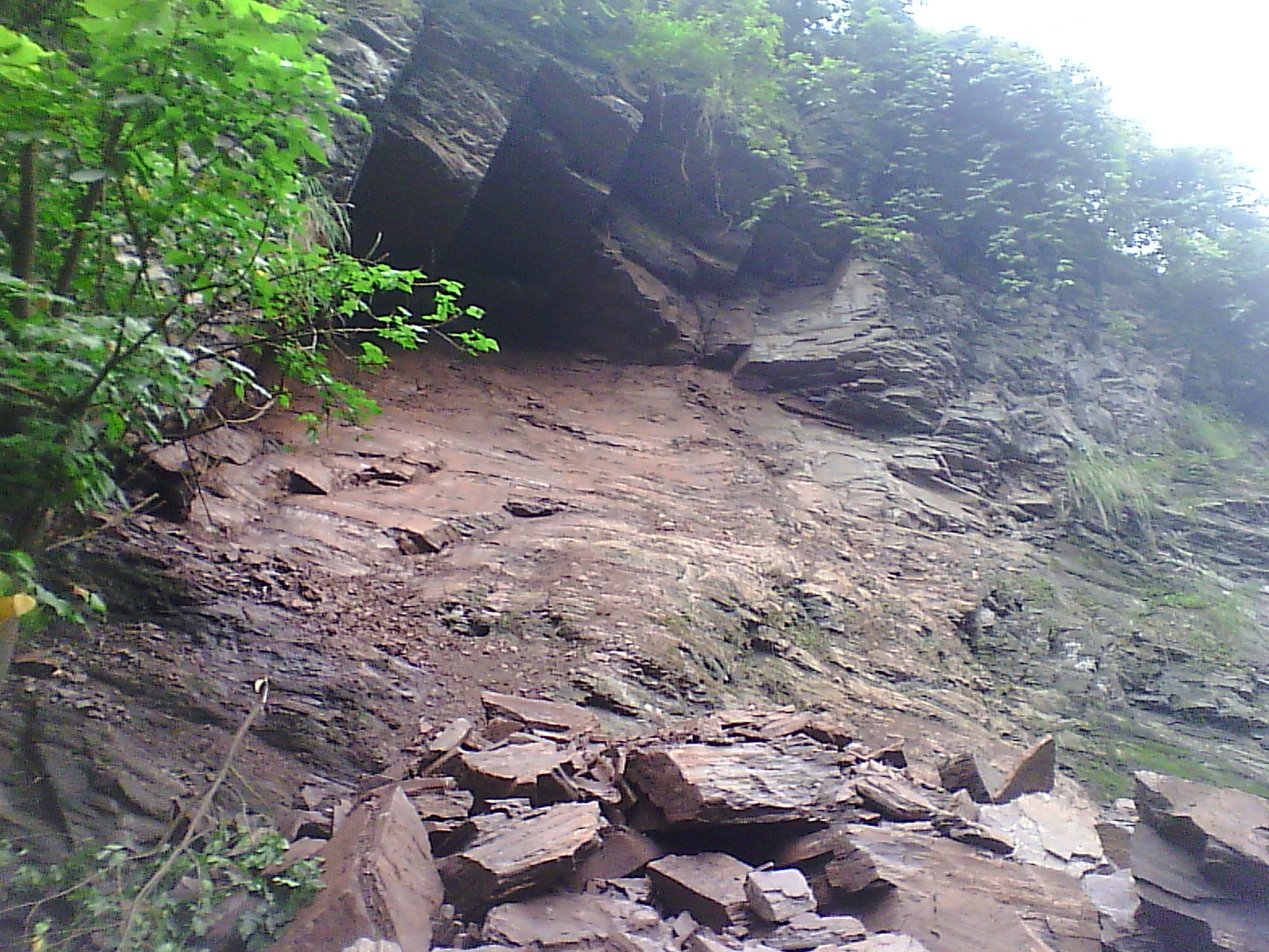 IMG_20140706_102659.jpg