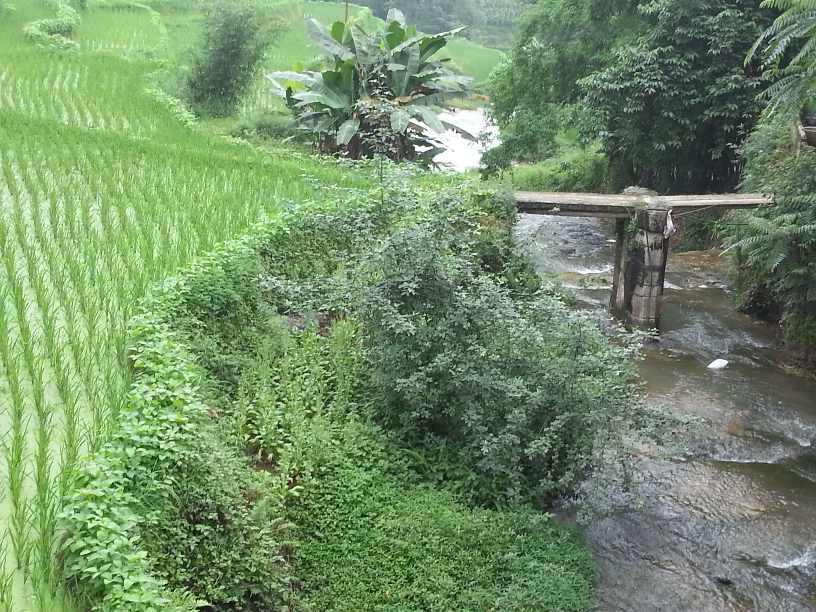 20140614_122709_尮غӰ.jpg