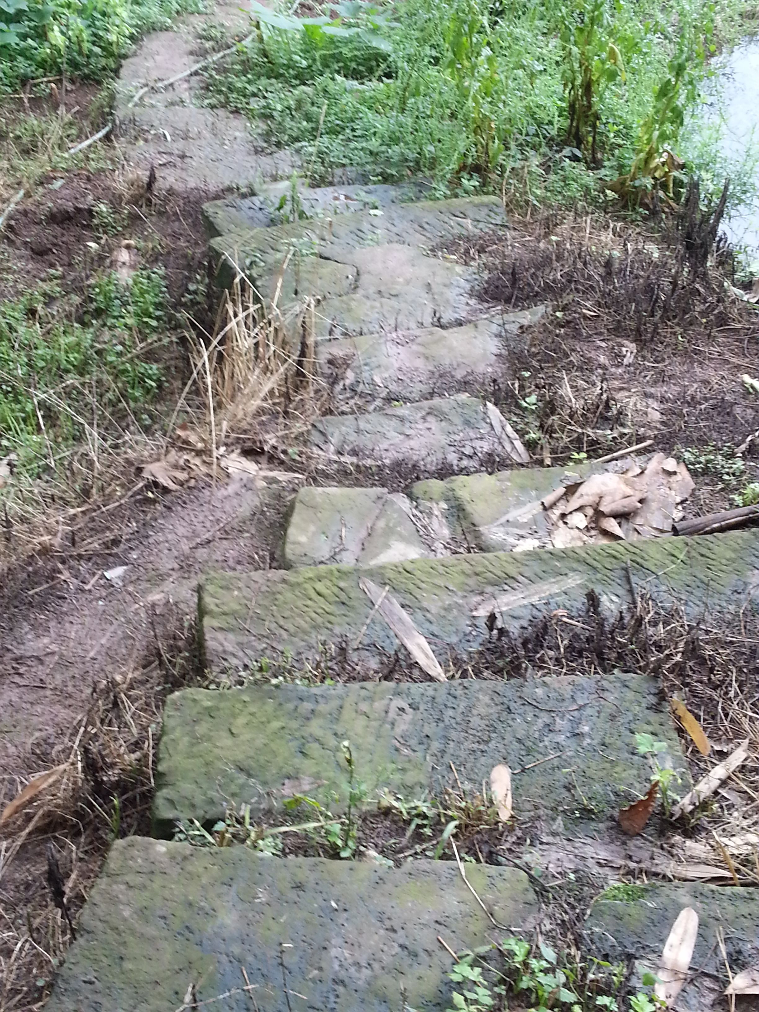 20140614_131029_·.jpg