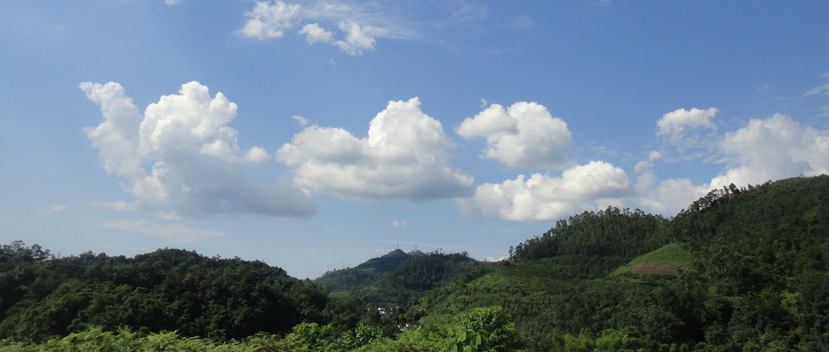 DSC08771__.jpg