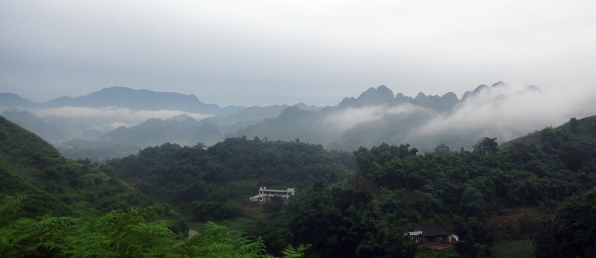 DSC08643_.jpg