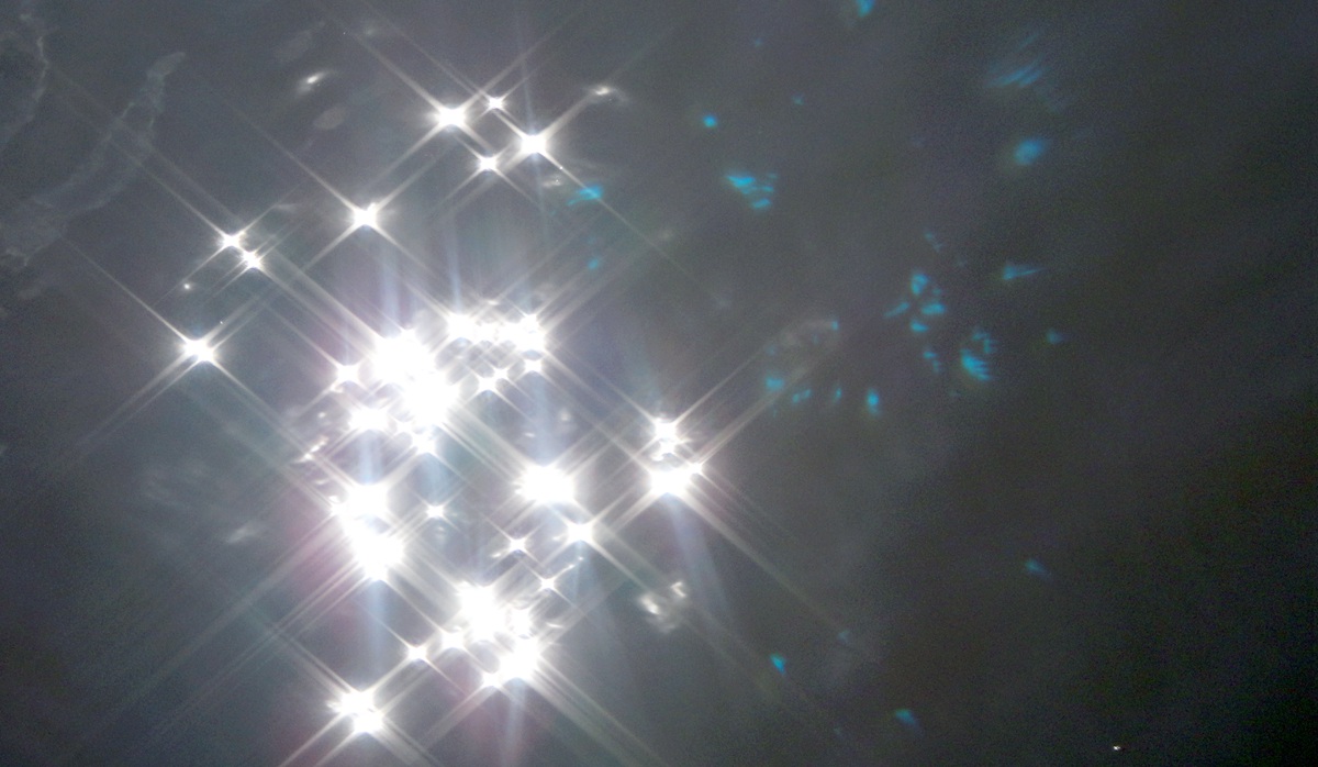 DSC09329_.jpg