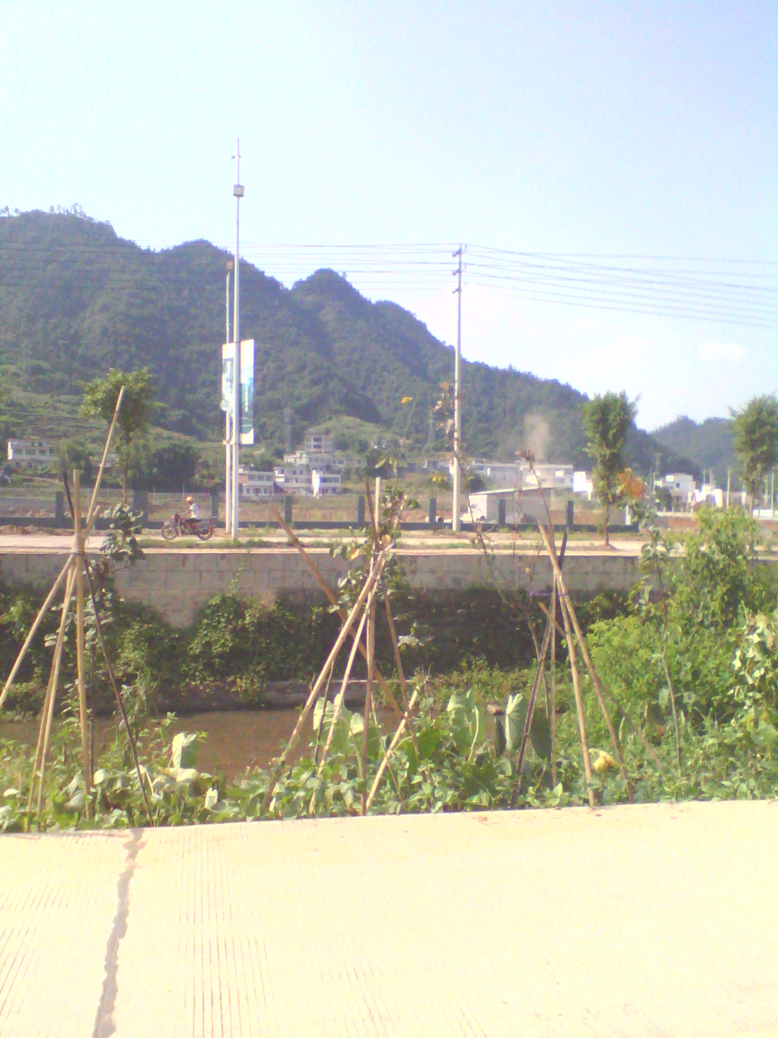 IMG_20140803_162202_0.jpg