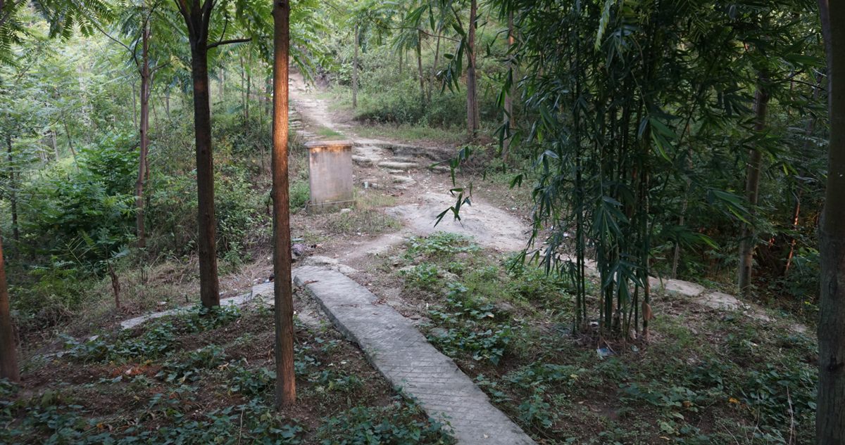 DSC02359__.jpg