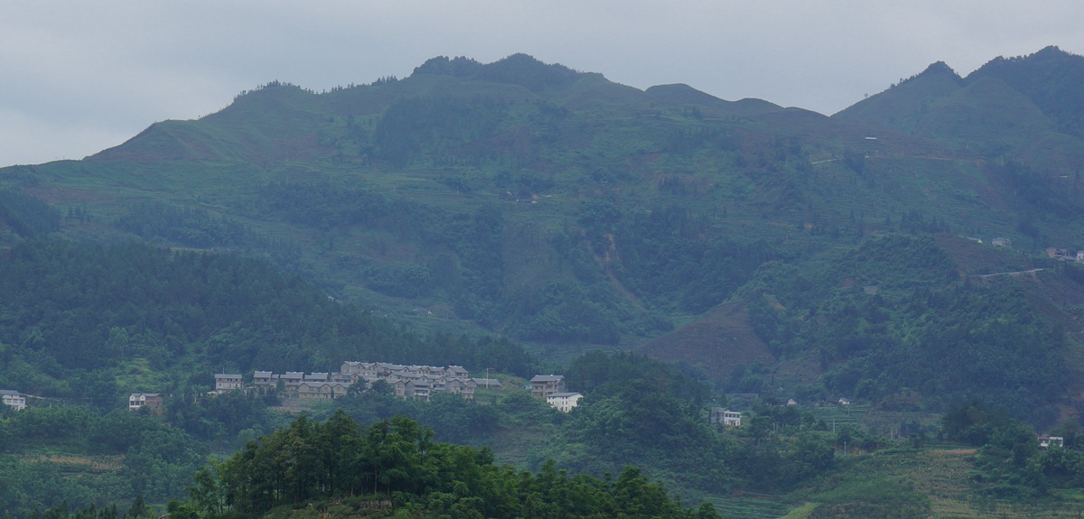 DSC02820__.jpg
