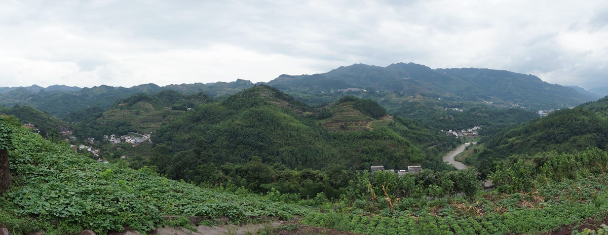 DSC02825_.jpg