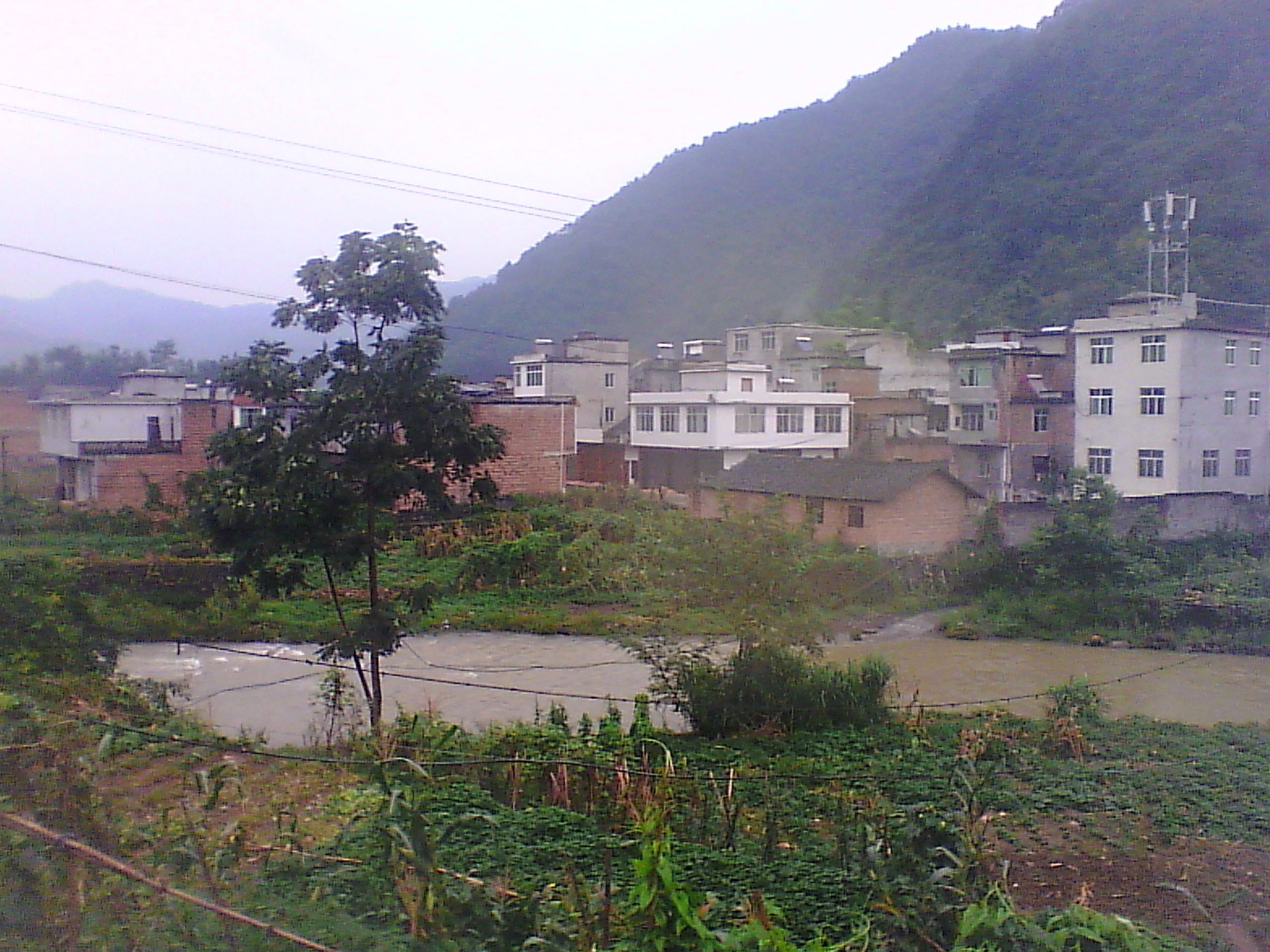 IMG_20140812_190102.jpg