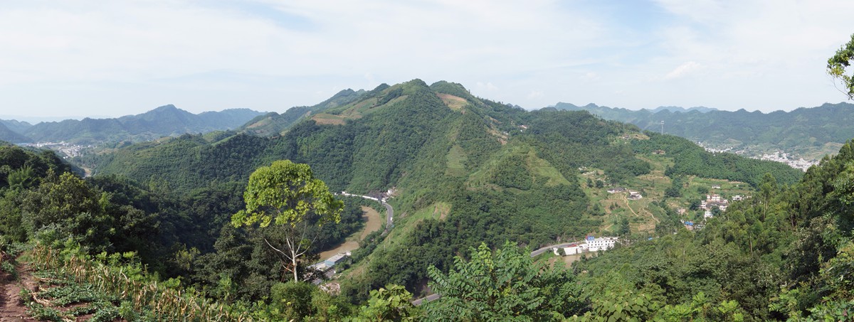 DSC03011_.jpg