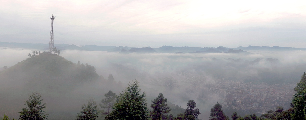 DSC02910__.jpg