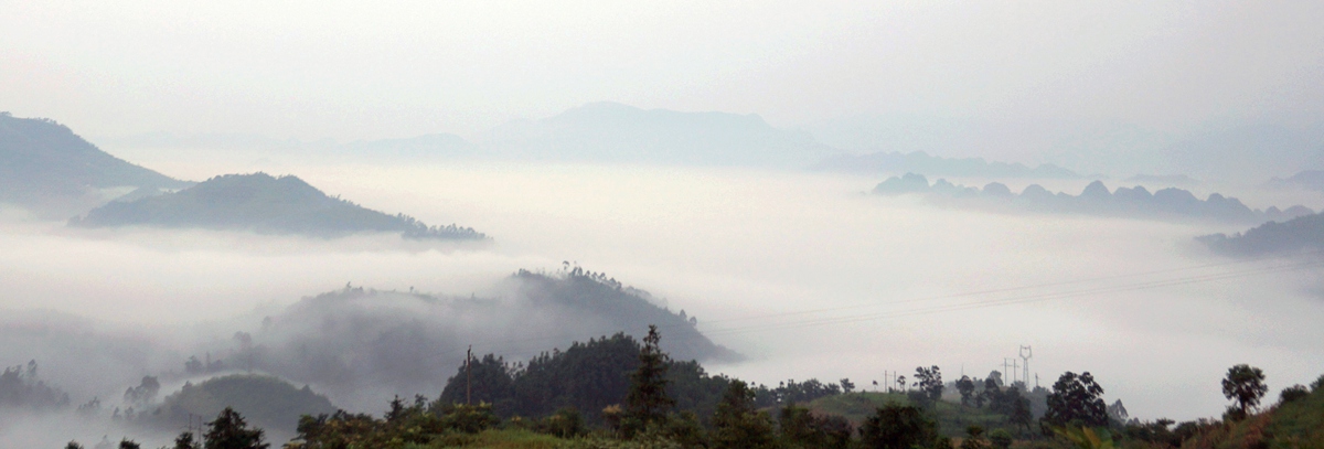 DSC04041__.jpg