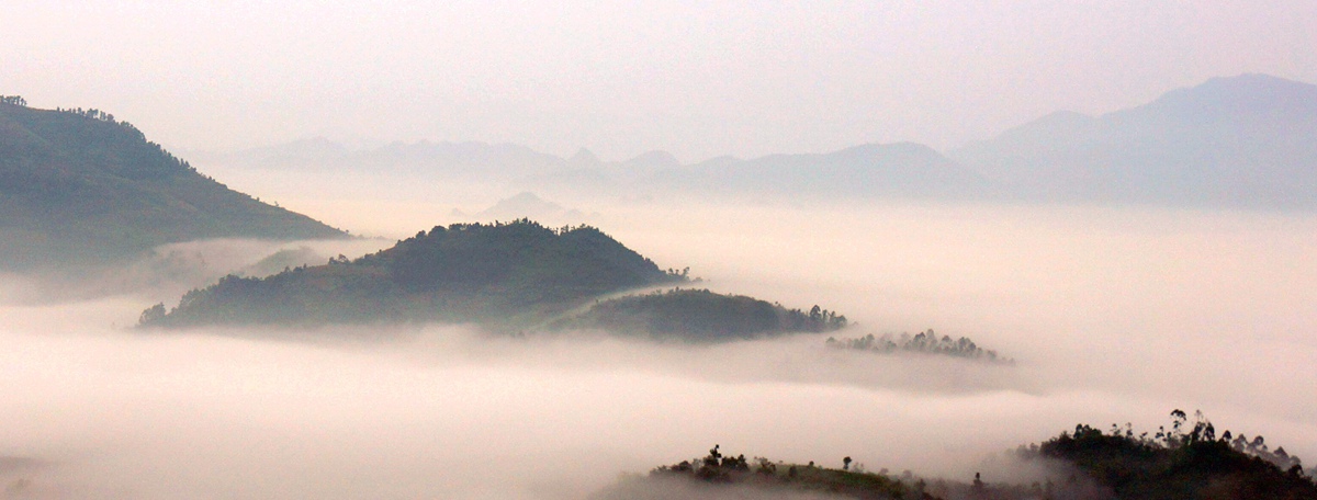 DSC04030__.jpg