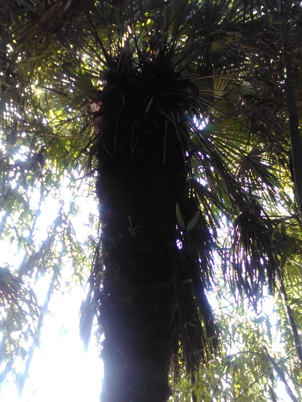 2014-10-24_10-09-31_876557_org.jpg