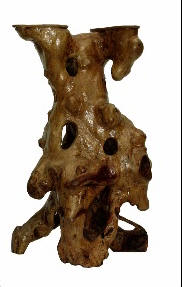 55.jpg