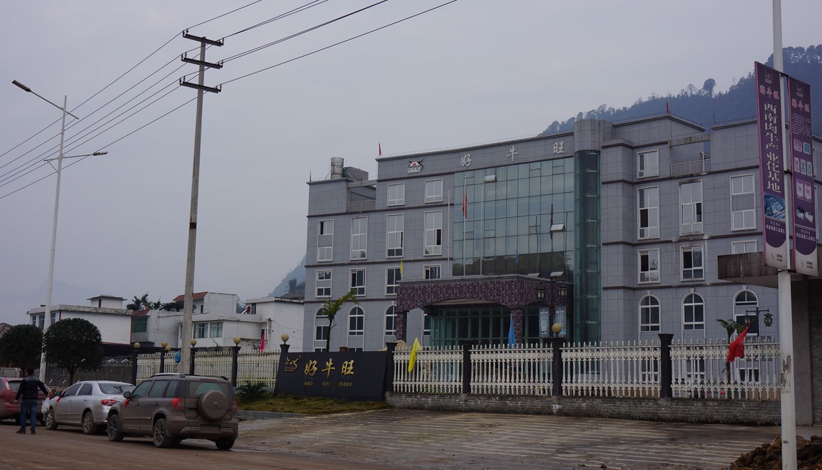 DSC09037_.jpg