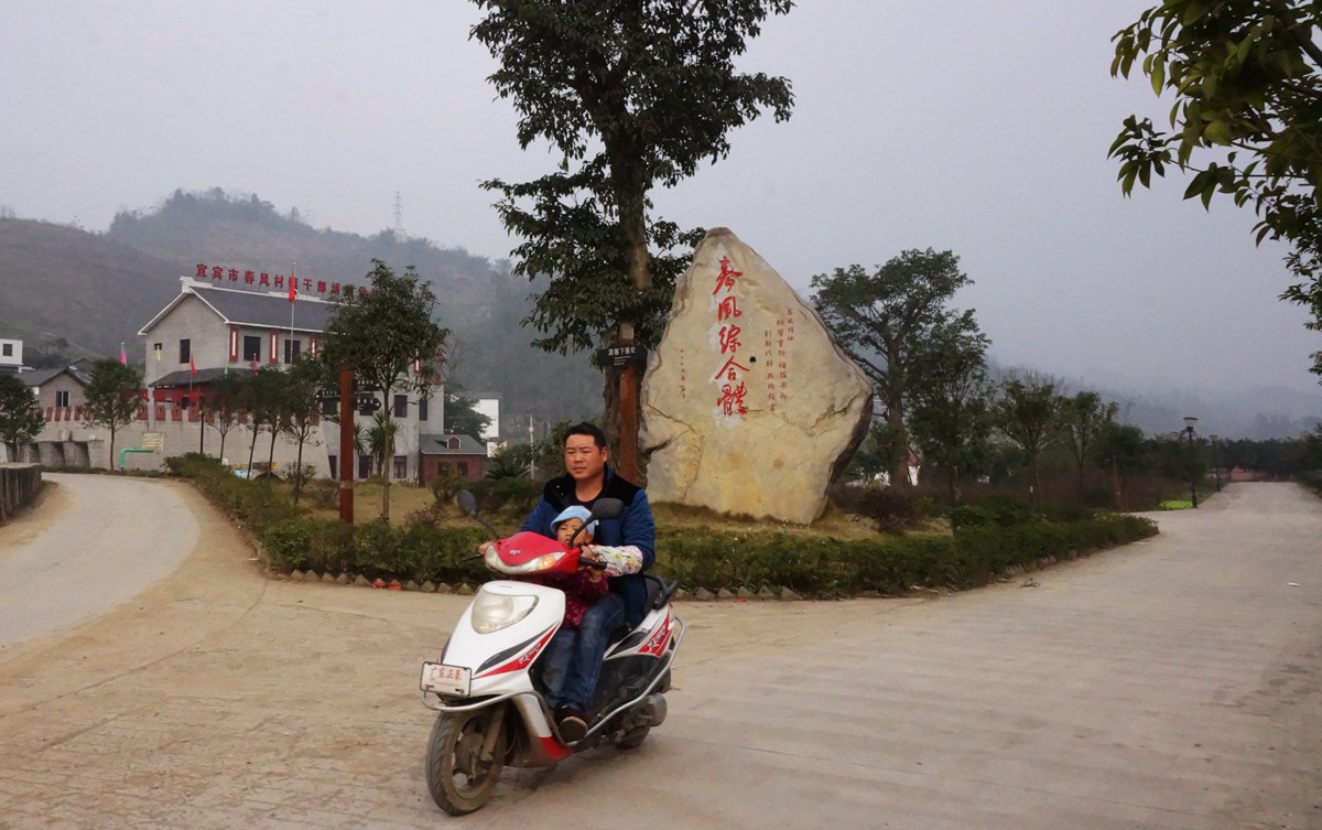 DSC09651_.jpg