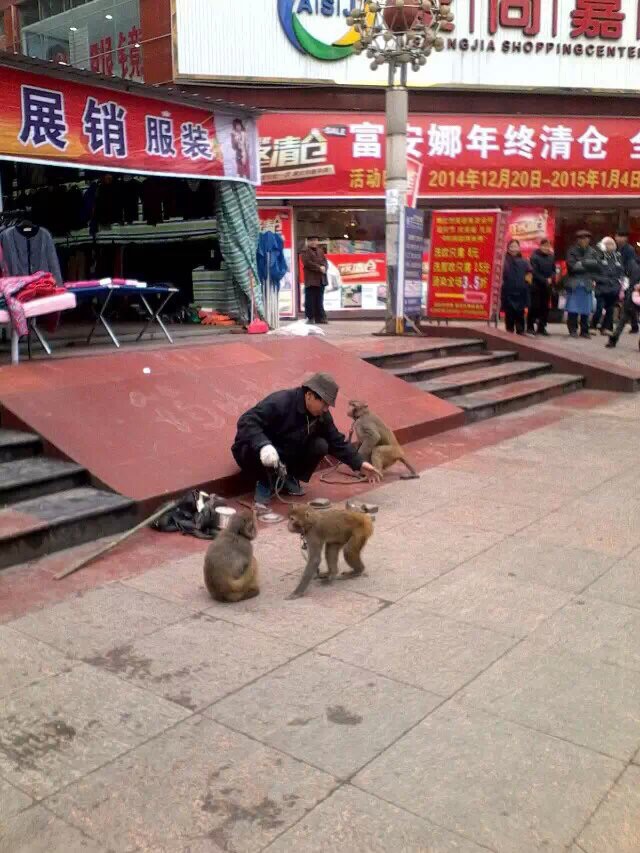 image.jpg