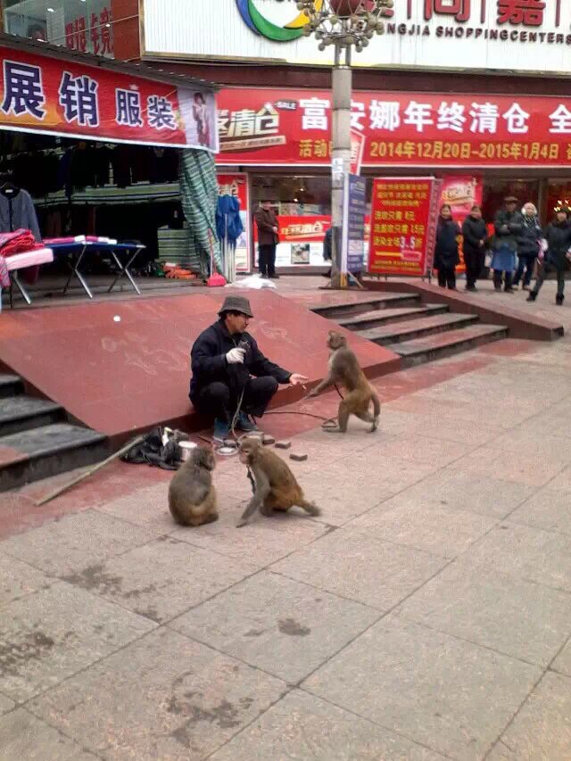 image.jpg