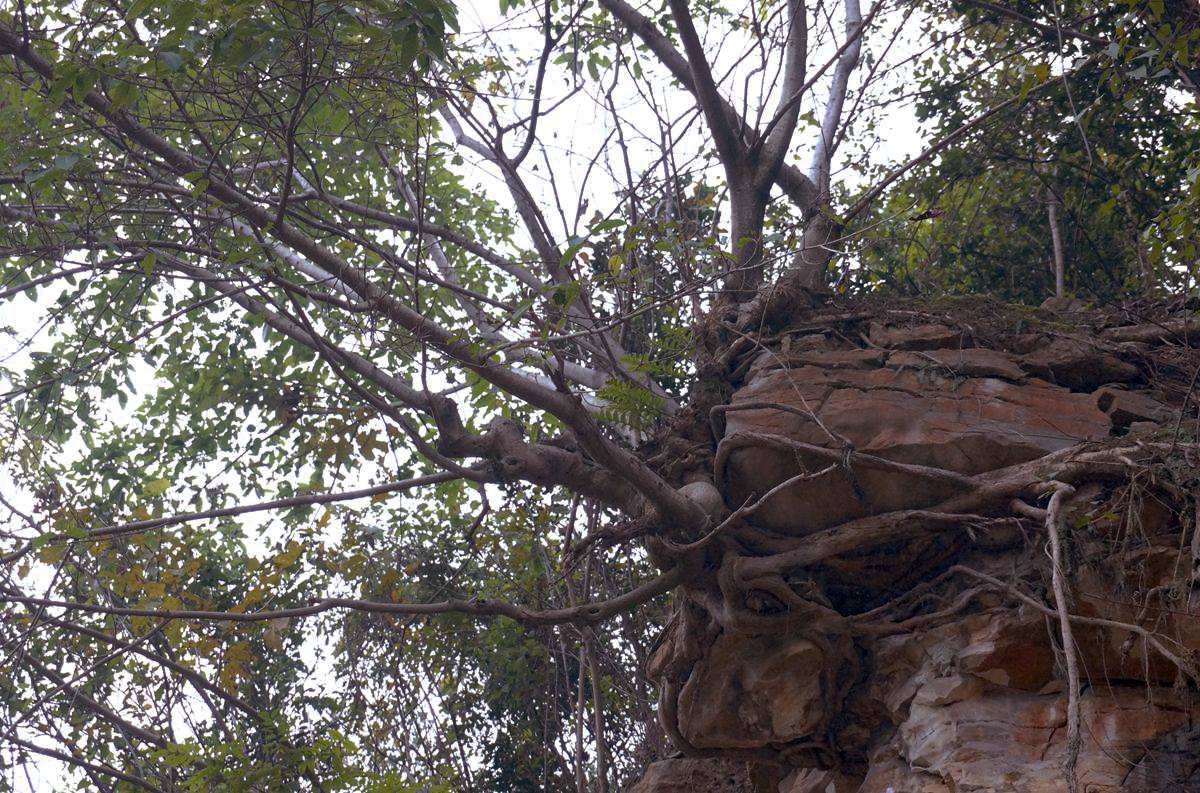 DSC09771_.jpg