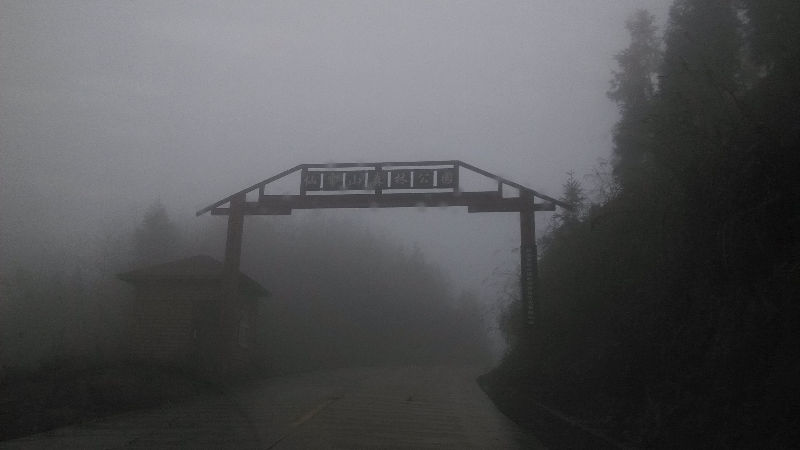 46308