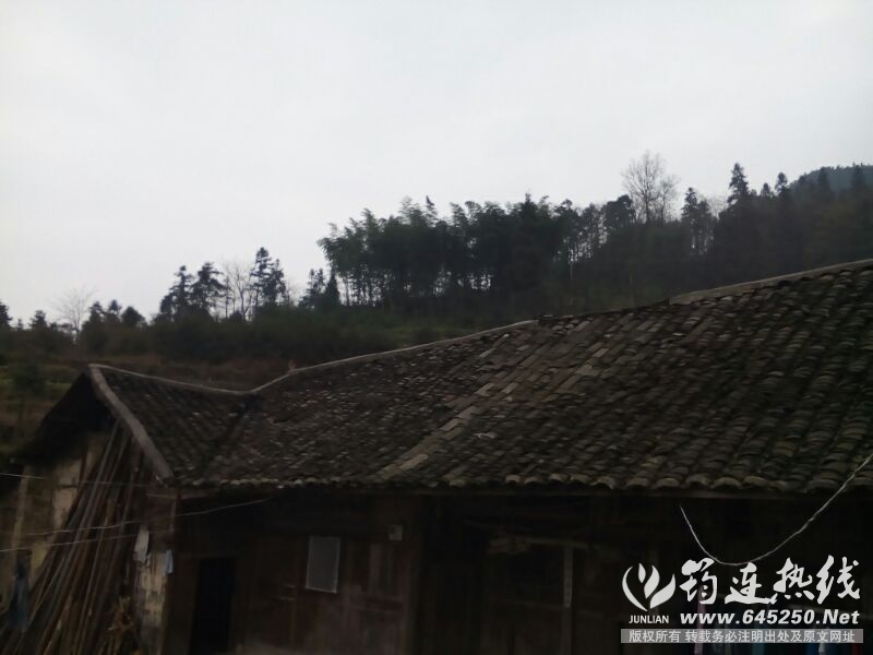 UC_Photo_005.jpg