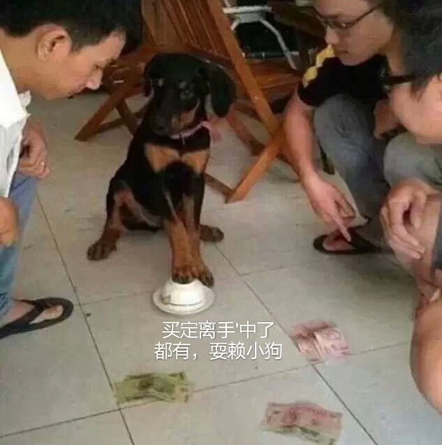 50263