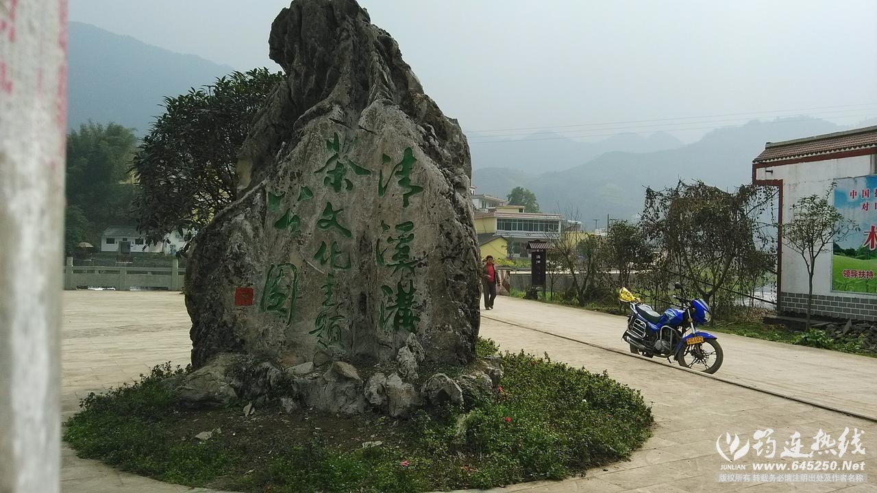 a347f7eacda564309e7cdd3d04ad58632ff1f290.jpg