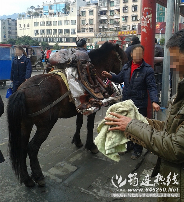 20150119_122837.jpg