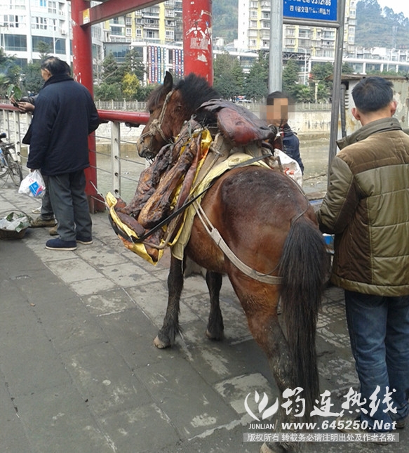 20150119_122826.jpg