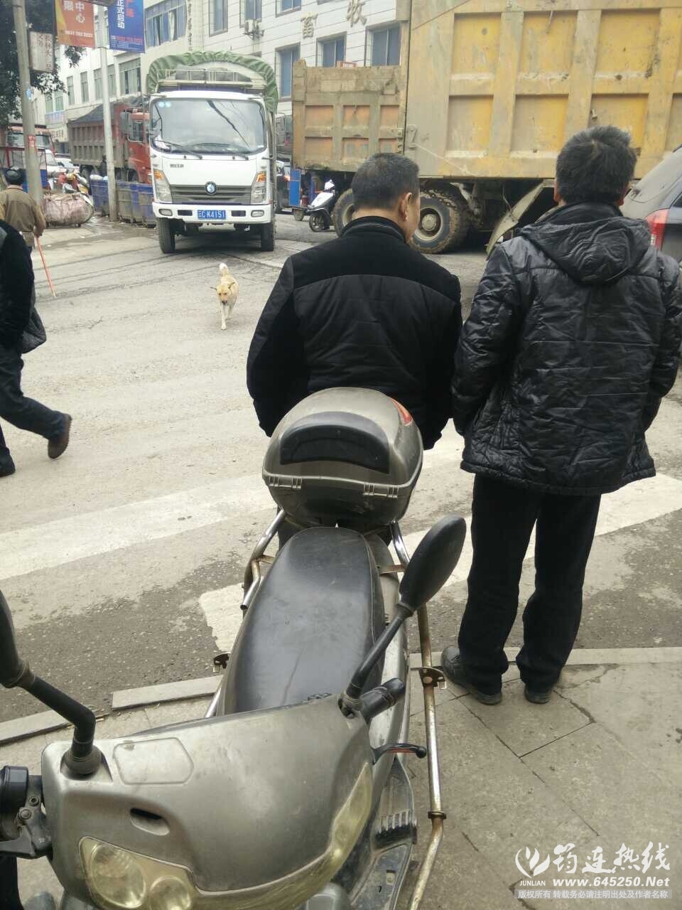 5.jpg