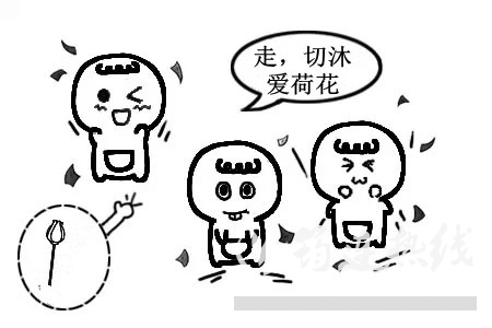 4_.jpg