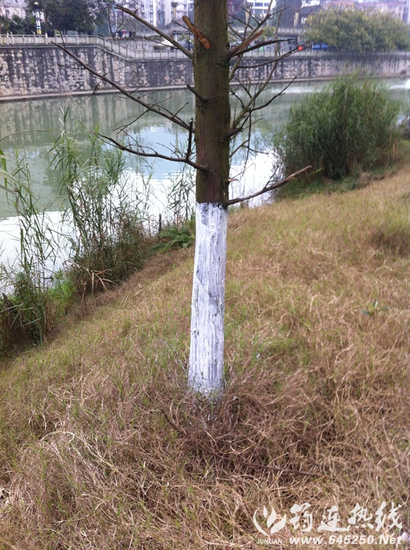 ֮ԵIMG_7278.JPG