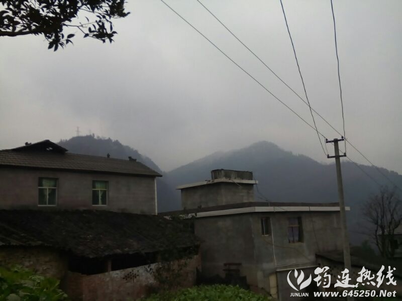 UC_Photo_043.jpg