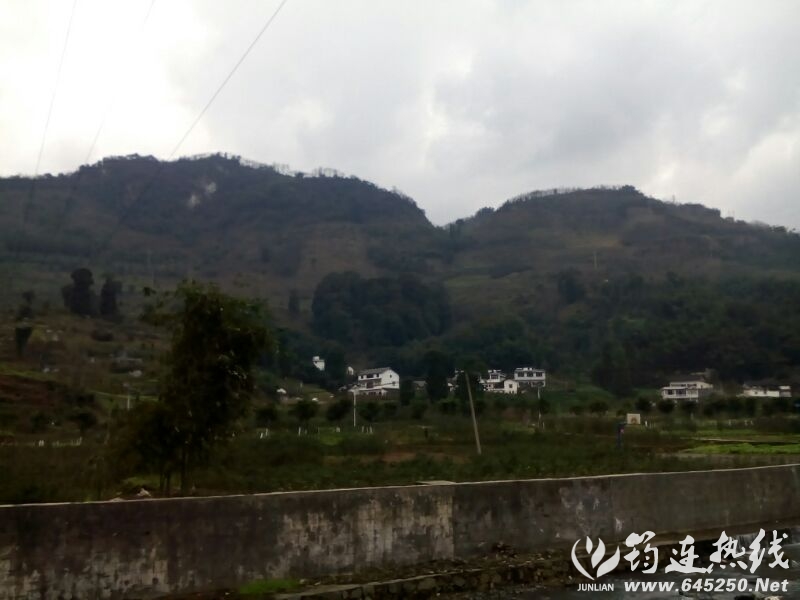 UC_Photo_070.jpg