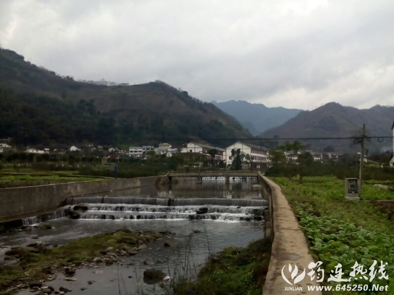 UC_Photo_071.jpg
