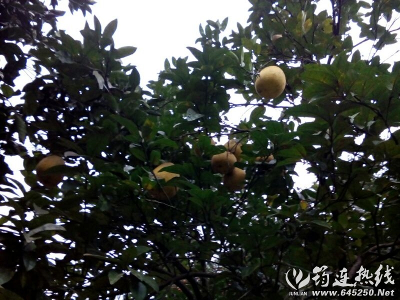 UC_Photo_080.jpg