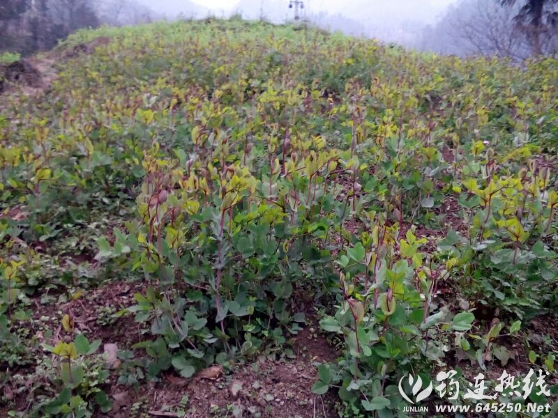 UC_Photo_081.jpg