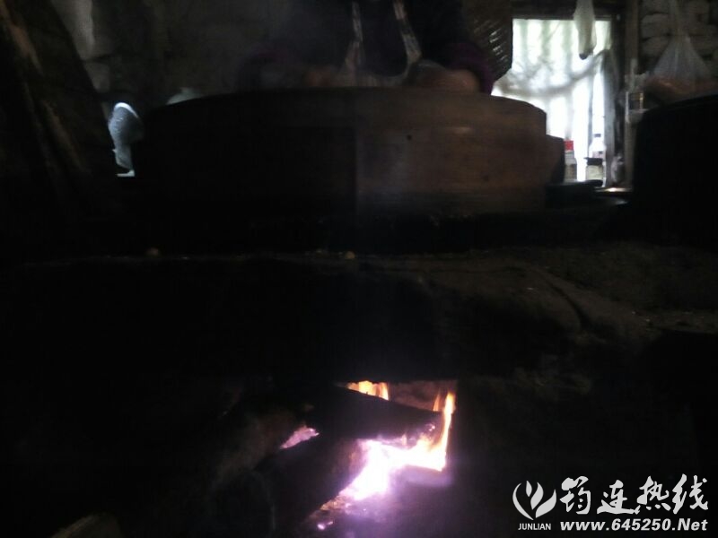 UC_Photo_087.jpg