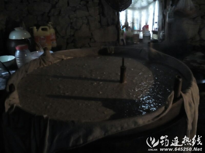 UC_Photo_089.jpg