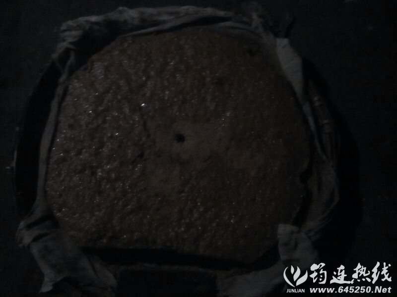 UC_Photo_093.jpg