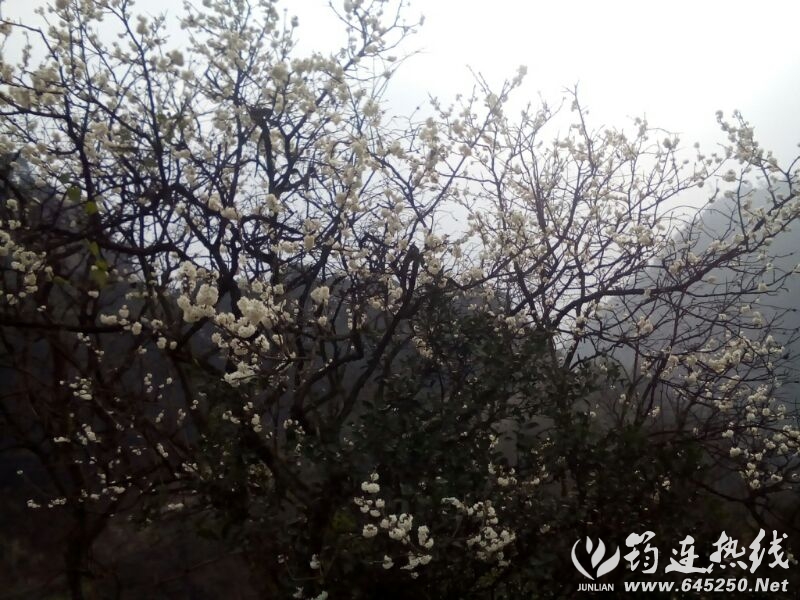 UC_Photo_097.jpg