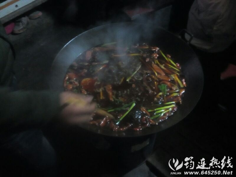 UC_Photo_101.jpg
