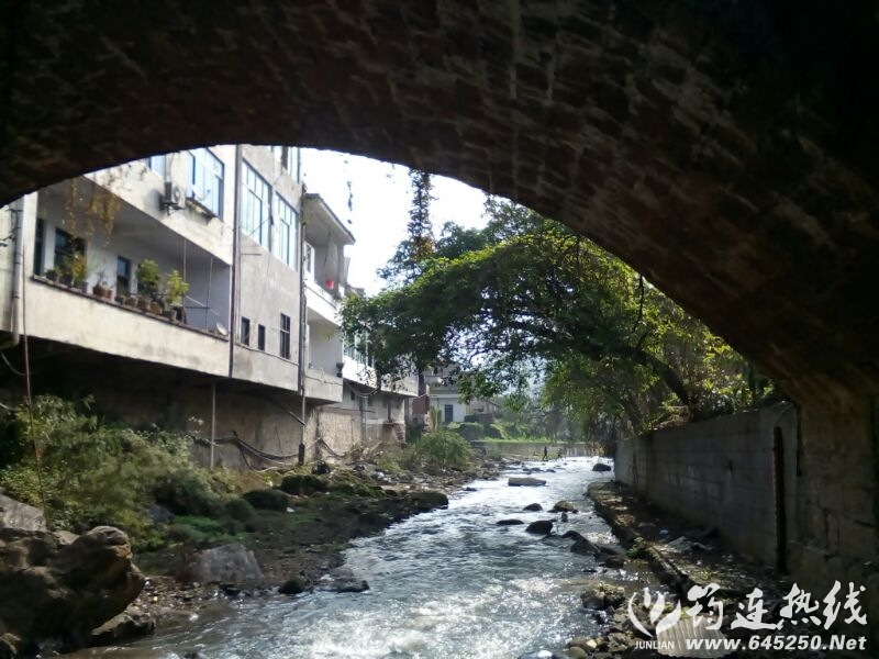 UC_Photo_105.jpg