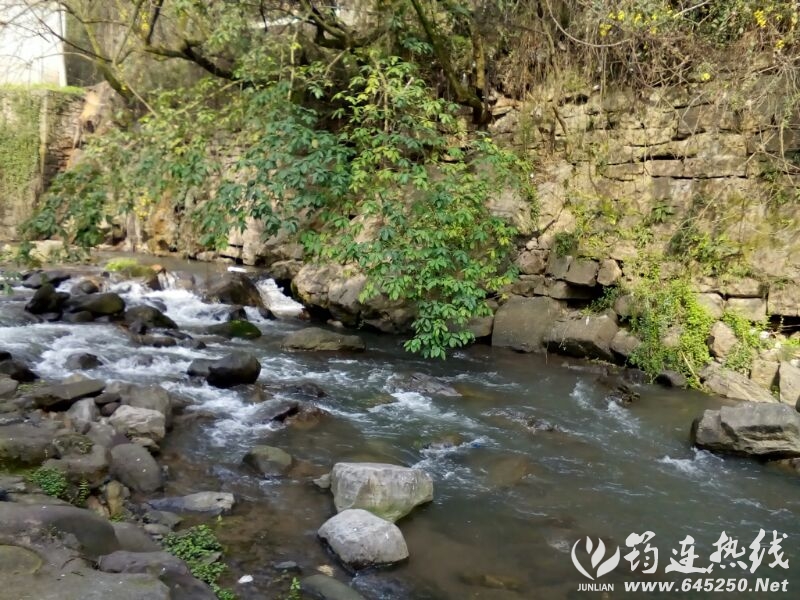 UC_Photo_106.jpg