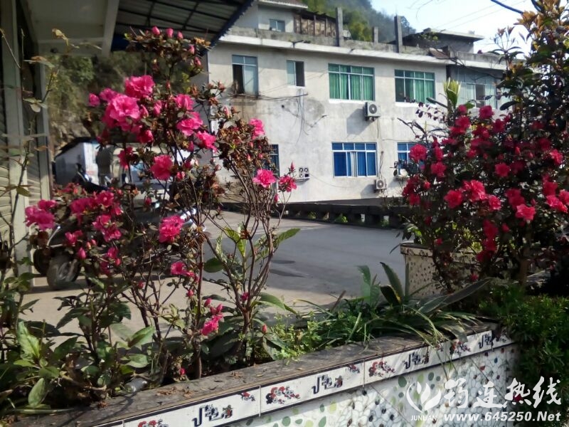 UC_Photo_108.jpg