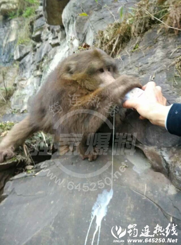 03.webp.jpg