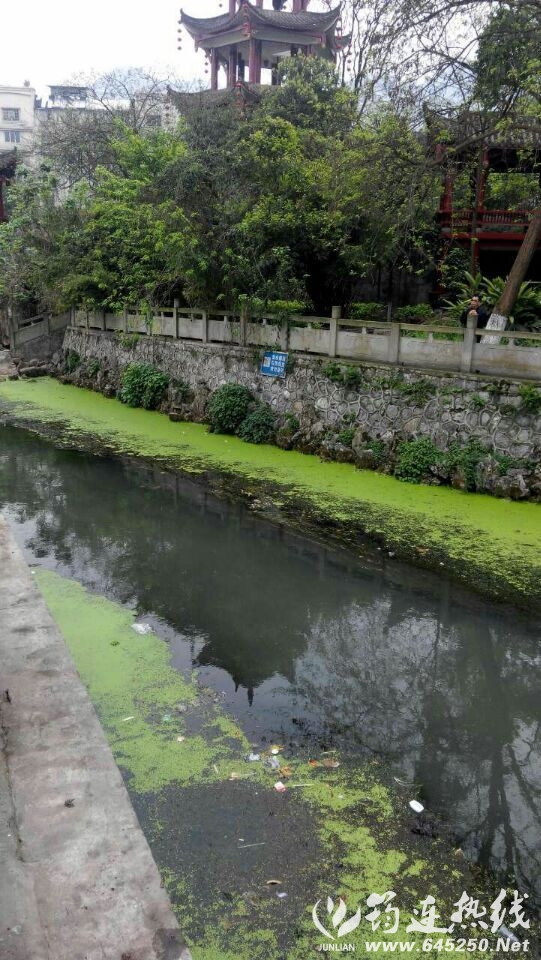 QQͼƬ20150329174636.jpg