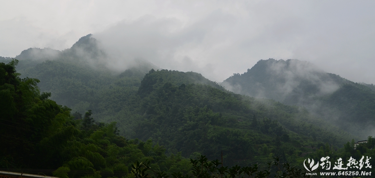 DSC_0023_.jpg